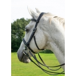 Runa Combi Sidepull Or Bitted Bridle & Reins
